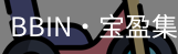BIN宝盈集团