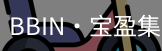 BIN宝盈集团
